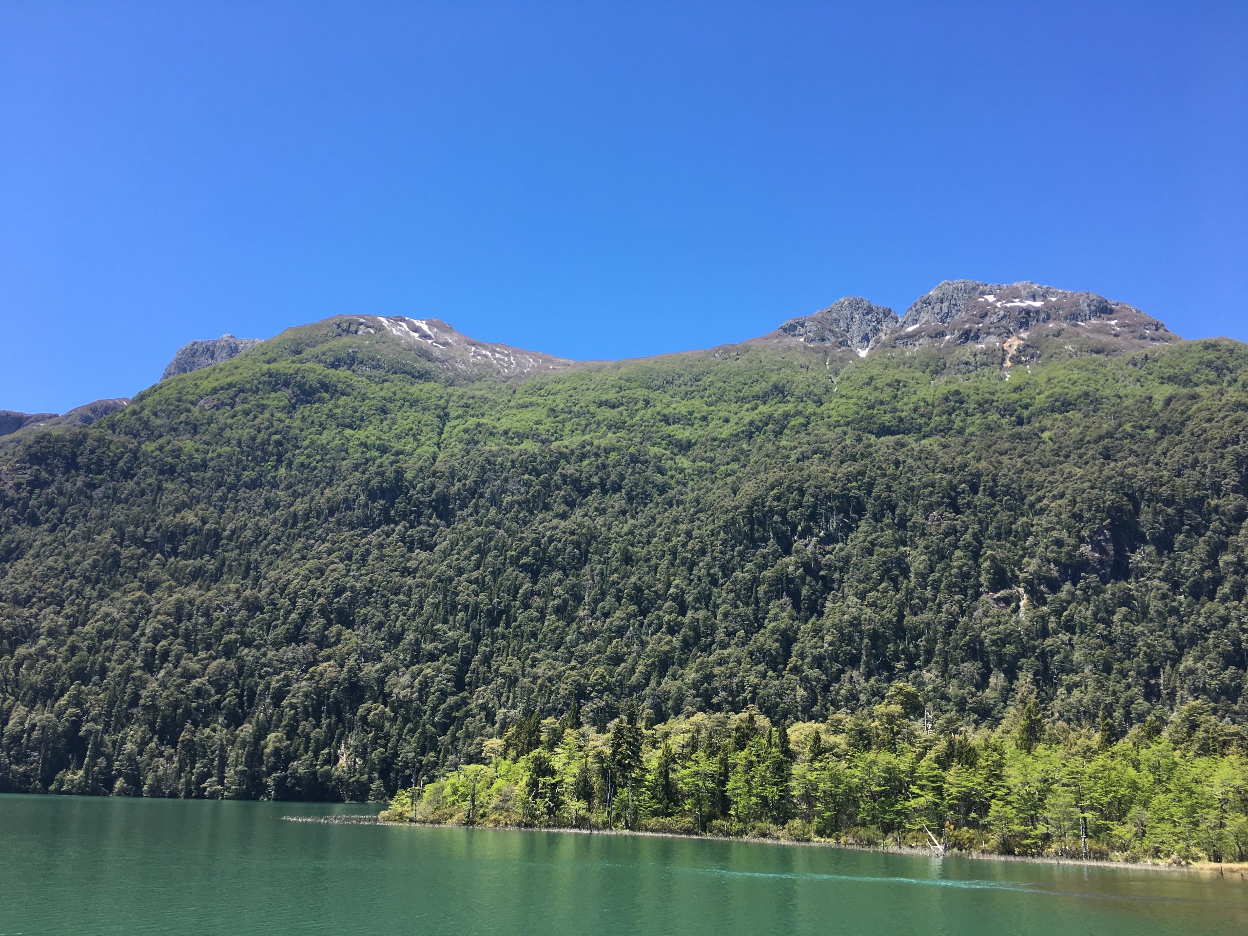 Lac avec arbres