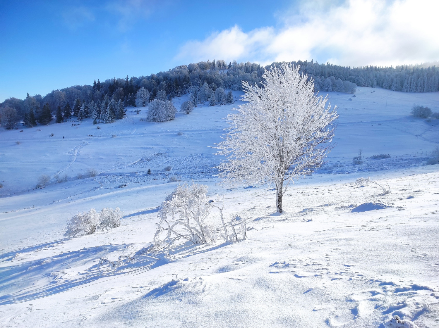 hiver